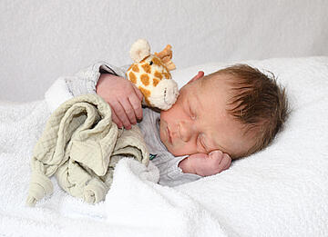 Baby Moritz