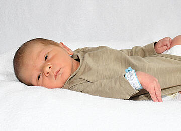 Baby Malte 