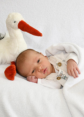 Baby Moritz