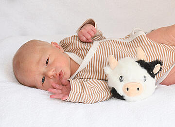 Baby Luis